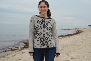 Sea Turtles Pullover